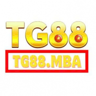 Tg88 Mba