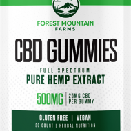 forest mountain review